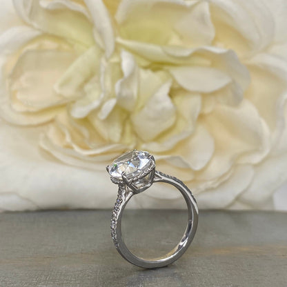Oval Moissanite Engagement Ring 14K White Gold, Forever One Oval Moissanite Engagement Rings For Women, Hidden Halo Moissanite Rings, #7228